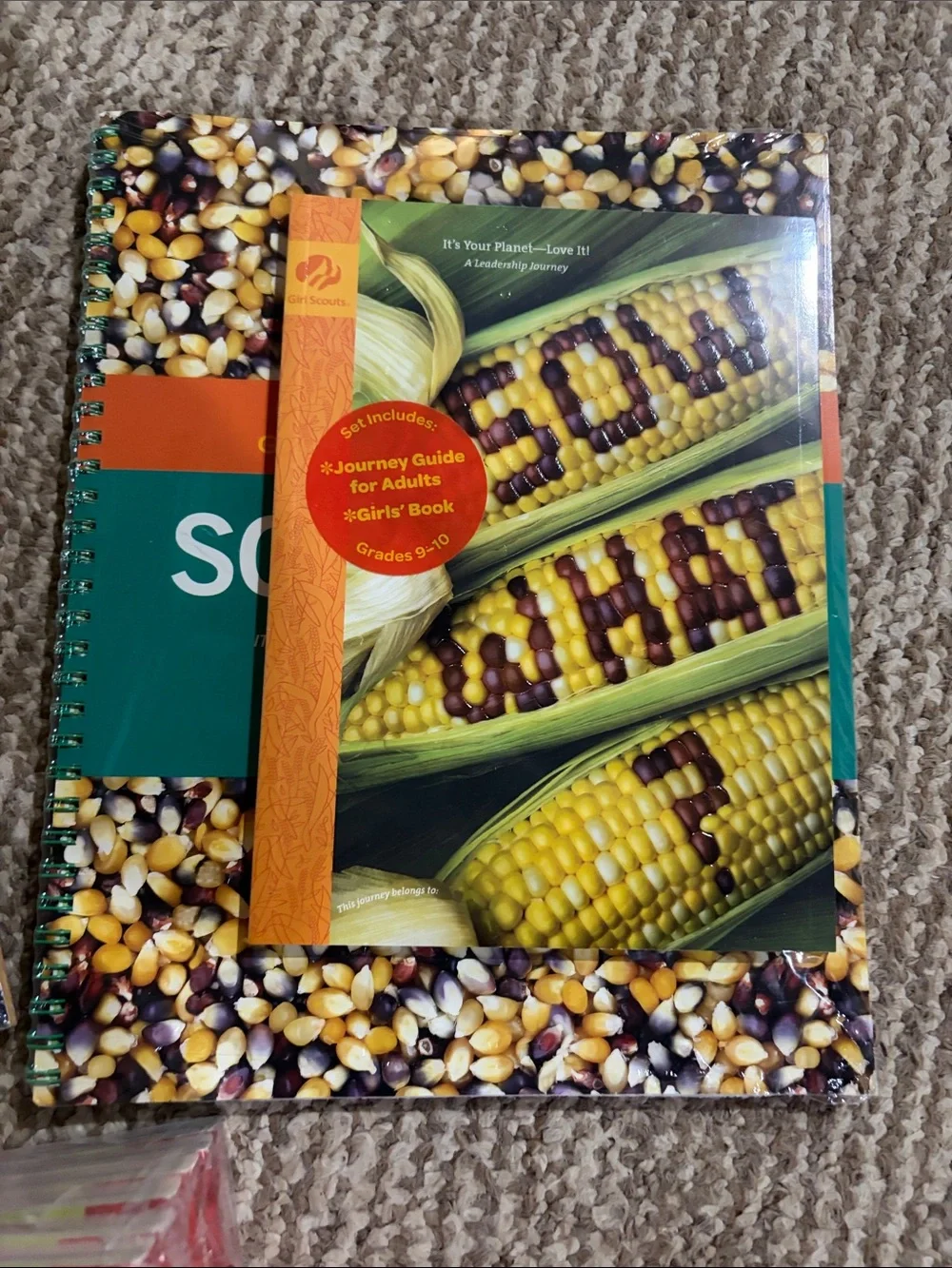 Multiple Girl Scout Journey Books